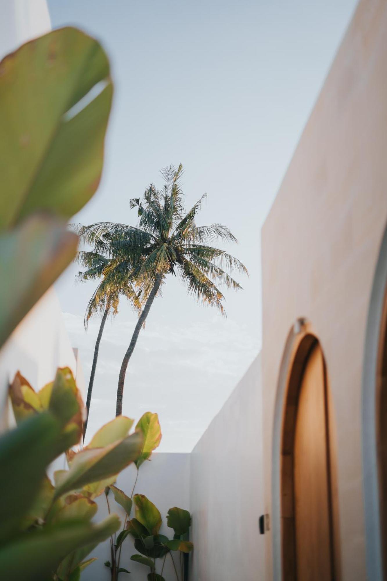 Brandon Villa Lovina With Private Pool 外观 照片